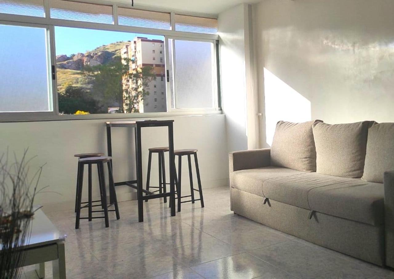 El Piso Espacioso Un Grupo De Amigos Málaga